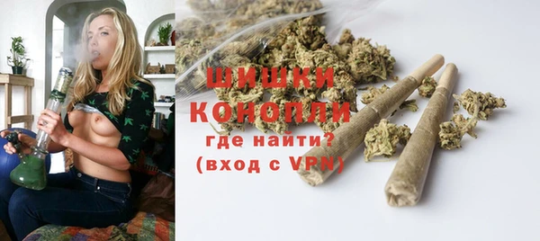 сатива Дмитров