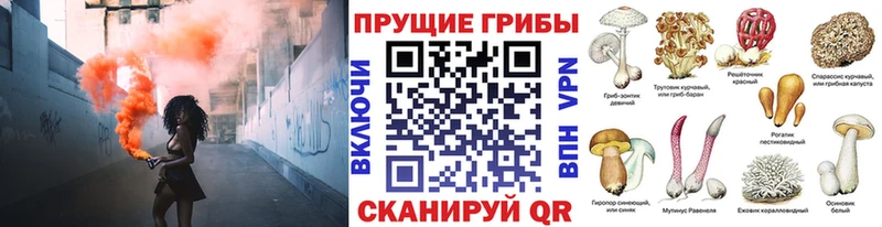Галлюциногенные грибы GOLDEN TEACHER Жигулёвск