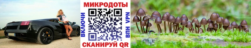 Псилоцибиновые грибы Magic Shrooms  Жигулёвск 